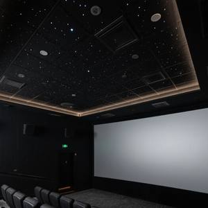 Алюминиевые потолочные панели на заказ, современная система потолков, экологичные, с 2-летней гарантией, огнеупорные, водонепроницаемые, для коммерческих интерьеров - Product Image 4