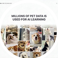 Traceur GPS pour animaux de compagnie étanche IP65, autonomie de plus de 20 heures, traduction du comportement des animaux, application double plateforme Android & iOS, produit phare aux États-Unis