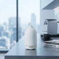 Vente directe d'usine, diffuseur d'huiles essentielles 100 ml, lumière LED, humidificateur aromathérapeutique en céramique fait main