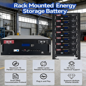 51.2V <b>Rack</b>-Mounted Lithium Ion Battery for Hybrid Grid Household Energy Storage 10-20KW Output Power All-In-One System with BMS - Product Image 2