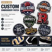 Écussons brodés en tissu chenille avec logo d'équipe de basketball, vente flash de luxe, pour vêtements et textiles de maison