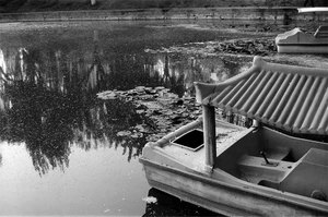 Film noir et blanc 35 mm jetable et réutilisable, ISO 400, 36 expositions, film kinétoscope pour appareil photo Fuji Fujifilm Kodak - Product Image 4