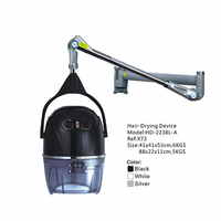 Sèche-cheveux et steamer numérique portable entièrement automatique FYD avec traitement capillaire pour salon et usage domestique