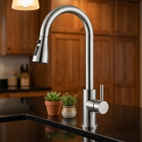 Robinet de cuisine OEM personnalisé à 3 modes avec douchette extractible, mitigeur en acier inoxydable 304 à poignée unique pour appartement