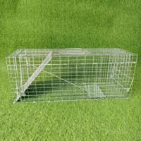 Meilleure vente Cage de piège pour animaux sauvages vivants galvanisée pliable automatique en gros pour l'extérieur Lutte antiparasitaire