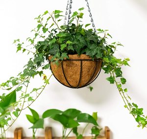 Planteur de panier suspendu en <span class=keywords><strong>métal</strong></span>, <span class=keywords><strong>porte</strong></span>-plantes en fil de coco, décorations de jardin pour Pots en véranda - Product Image 2