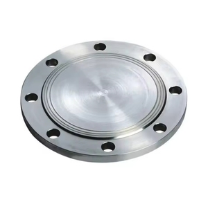 Kích thước tùy chỉnh WN BL SW LJ mặt phẳng mù hàn cổ công nghiệp đường kính lớn phẳng 12 inch mặt <span class=keywords><strong>b</strong></span>ích thép carbon - Product Image 3