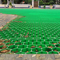 Taurus Geogel HDPE Grille Gravier Pavés Pénétration Stabilisateur d'herbe Système de grille de pavage Jardin moderne