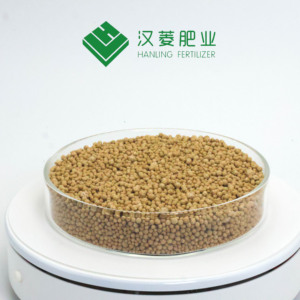 Fertilizante Granular de Aminoácidos 100% Soluble en Agua de Rápida Absorción para la Agricultura - Product Image 4