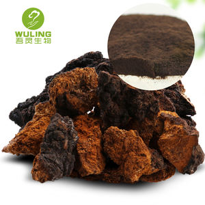 Высококачественные вкусные грибы Чаги замороженные грибы - Product Image 5