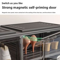 Armoire de rangement moderne à deux portes pour boîtes à fourmis Armoire à chaussures pliable en matière plastique noire sans installation