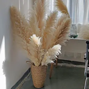 Factory Drectly Fluffy Pampas Grass Decorative Wedding Home Flower Artificial Pampas White Dried Large Pampas Grass