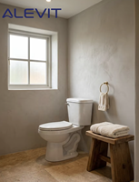 WC à poser en céramique de luxe OEM, deux pièces, à siphon, cuvette allongée, sanitaires WC, WC à glaçure facile à nettoyer