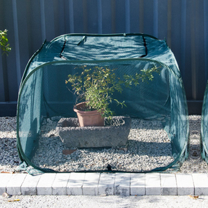 Tienda de protección de plantas antibird Anti-pequeño animal requerido Resistencia al viento Proteger cultivos Protección fácil Jaulas de plantas de jardín - Product Image 3