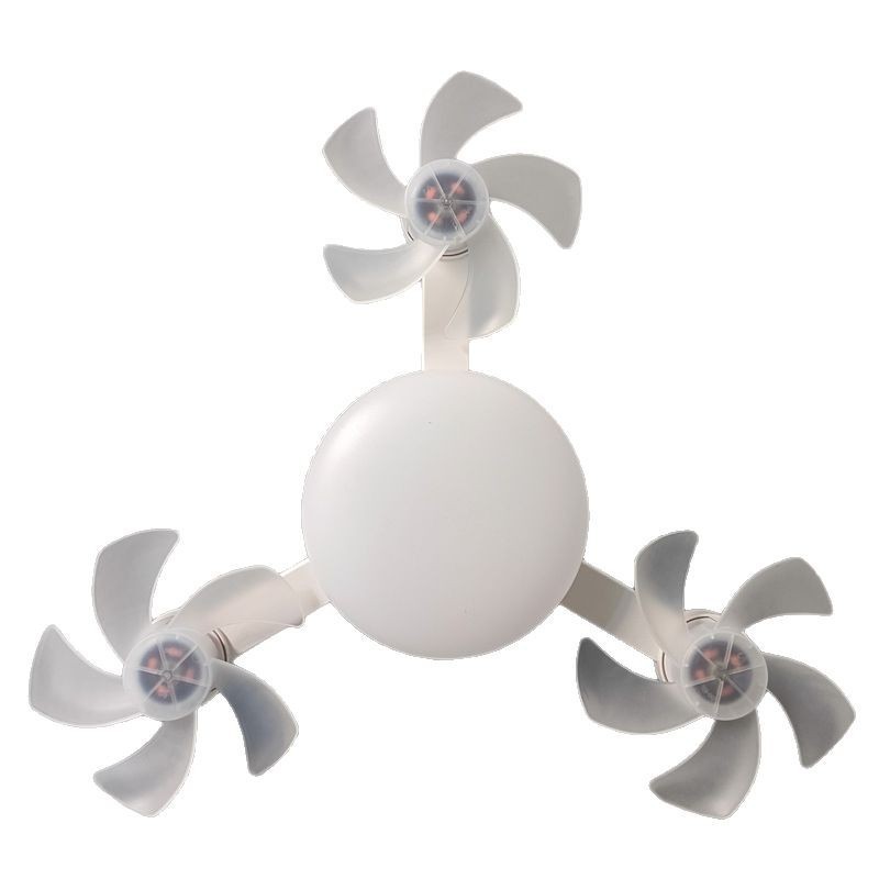 3 têtes blanches 50W