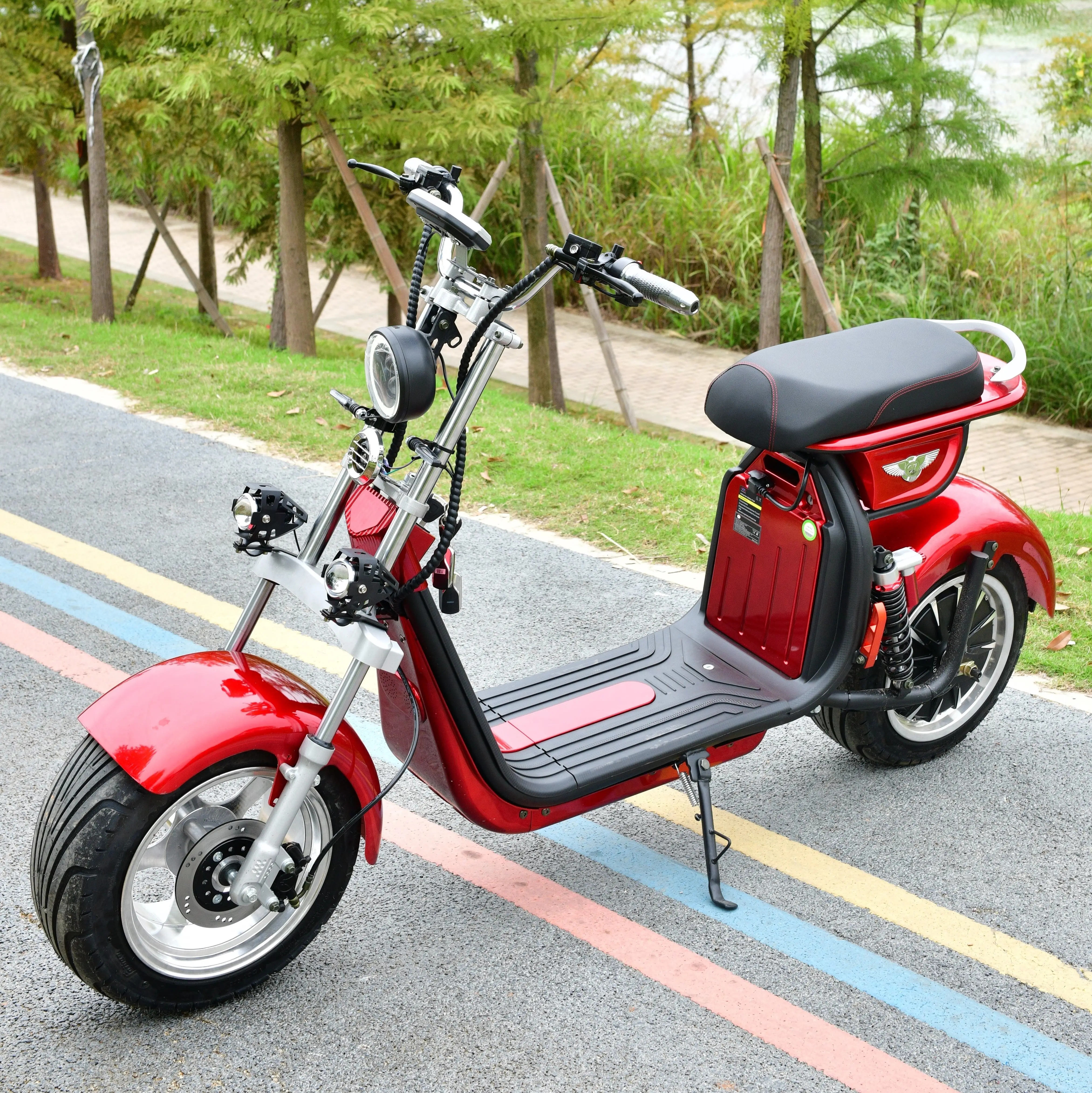 Levering Aan Deur Elektrische Chinese 2 Wiel Motorfiets Met Dak Voor Volwassenen