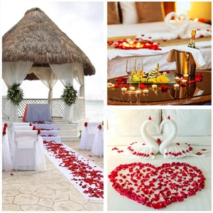 1000 pièces <span class=keywords><strong>de</strong></span> pétales <span class=keywords><strong>de</strong></span> rose artificiels Real Touch pour créer une atmosphère romantique et surprenante - Product Image 3