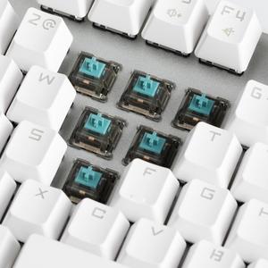 <span class=keywords><strong>Interrupteur</strong></span> Tactile T1, <span class=keywords><strong>interrupteur</strong></span> à ressort, 67g, pour clavier mécanique, bricolage, personnalisé - Product Image 3