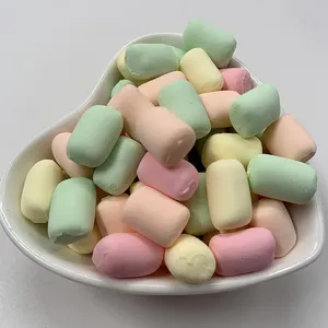 Wholesale bulk halal colorful mini cereal dried dehydrated marshmallows