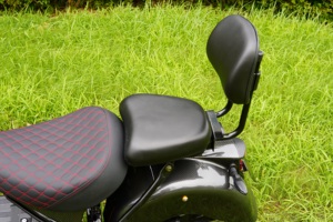 Scooters eléctricos Citycoco 4000W Motocicleta eléctrica Velocidad rápida 75 KM/H Certificado DOT para registro de EE. UU. Sin batería - Product Image 6