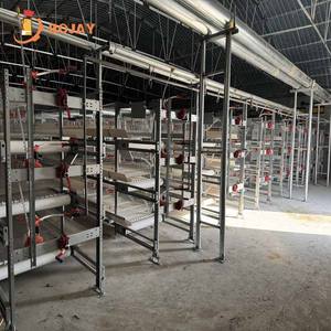 En iyi otomatik içme tavuk yumurta tavuk kafesleri için 3/4 katlı 96/120/128/160 kuşlar kümes hayvancılığı tavuk tavuk yumurta koleksiyonu - Product Image 2
