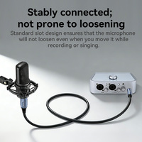 Kabel Veggieg OEM ODM 6.35mm 1/4 Inch TRS Male ke 3Pin XLR Male Abu-abu 6.35mm ke XLR Kabel Gitar
