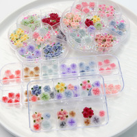 Kit de Breloques 3D Colorées Mignonnes Kawaii pour Ongles, Camélia en Résine, Pierres Précieuses Acryliques, Strass, Fournitures en Plastique pour Nail Art DIY, Cadeau