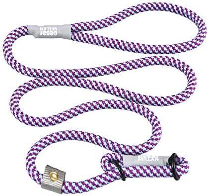 Cesar Millan Leash 2-in-1 No Pull Training Rope Lead