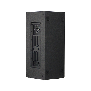 Altavoz de escenario de Audio profesional Altavoz de madera activo de 15 pulgadas Amplificador de clase D de 800W Altavoz alimentado por DSP - Product Image 3