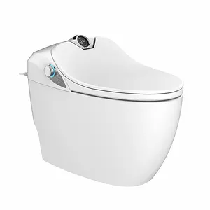 HEGII Роскошный профессиональный полностью функциональный автоматический датчик промывки керамический туалет электронный умный туалет с биде