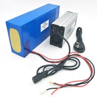 Penawaran Pabrik Baterai Sepeda Listrik 48V 20AH untuk Paket Baterai Lithium 48V Skuter E