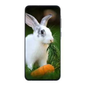 Écran de téléphone pour Samsung A55 5G, écran LCD OLED pour Samsung A55, écran de téléphone mobile pour Samsung A55 - Product Image 4
