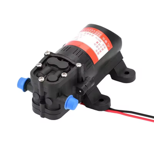 Bomba de diafragma de 12V CC, rociador eléctrico, bomba agrícola, bomba de inyección pequeña de diafragma de retorno de alta presión, tipo Micro - Product Image 2