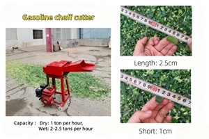 Mejor <span class=keywords><strong>Precio</strong></span> en Máquinas Cortadoras de Paja para Alimentación Animal, Picadoras de Paja Fresca, Tallo de Arroz, Pasto y Forraje para Ganado - Product Image 3