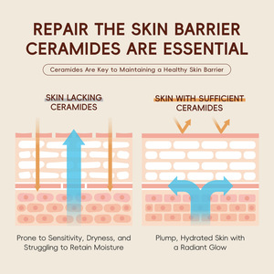 Crema <span class=keywords><strong>de</strong></span> <span class=keywords><strong>Arroz</strong></span> con 5 Ceramidas <span class=keywords><strong>de</strong></span> Nutrición Profunda, Reparación <span class=keywords><strong>de</strong></span> Barrera Cutánea Dañada, Cuidado <span class=keywords><strong>de</strong></span> la Piel Coreano - Product Image 4
