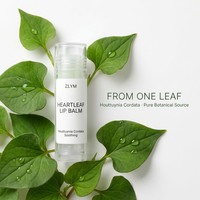 Baume à lèvres hydratant, apaisant et nourrissant à la Houttuynia Cordata, sans parfum, végétalien, biologique, 4g, pour lèvres sèches et gercées, marque privée