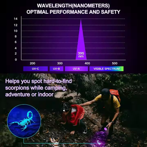 Détecteur ultraviolet Blacklight pour chien urine taches d'animaux <span class=keywords><strong>de</strong></span> compagnie <span class=keywords><strong>punaise</strong></span> <span class=keywords><strong>de</strong></span> <span class=keywords><strong>lit</strong></span> USB charge alliage d'aluminium lampe <span class=keywords><strong>de</strong></span> poche UV - Product Image 2