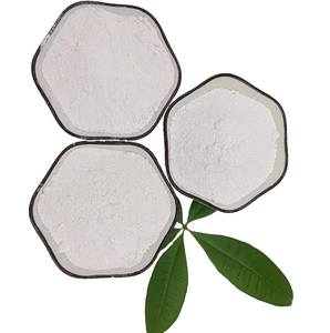 Poudre de <span class=keywords><strong>Kaolin</strong></span> Personnalisée pour Produits de Soin de la Peau : Additif Régulateur de Sébum et d'Équilibre Hydrolipidique - Product Image 1