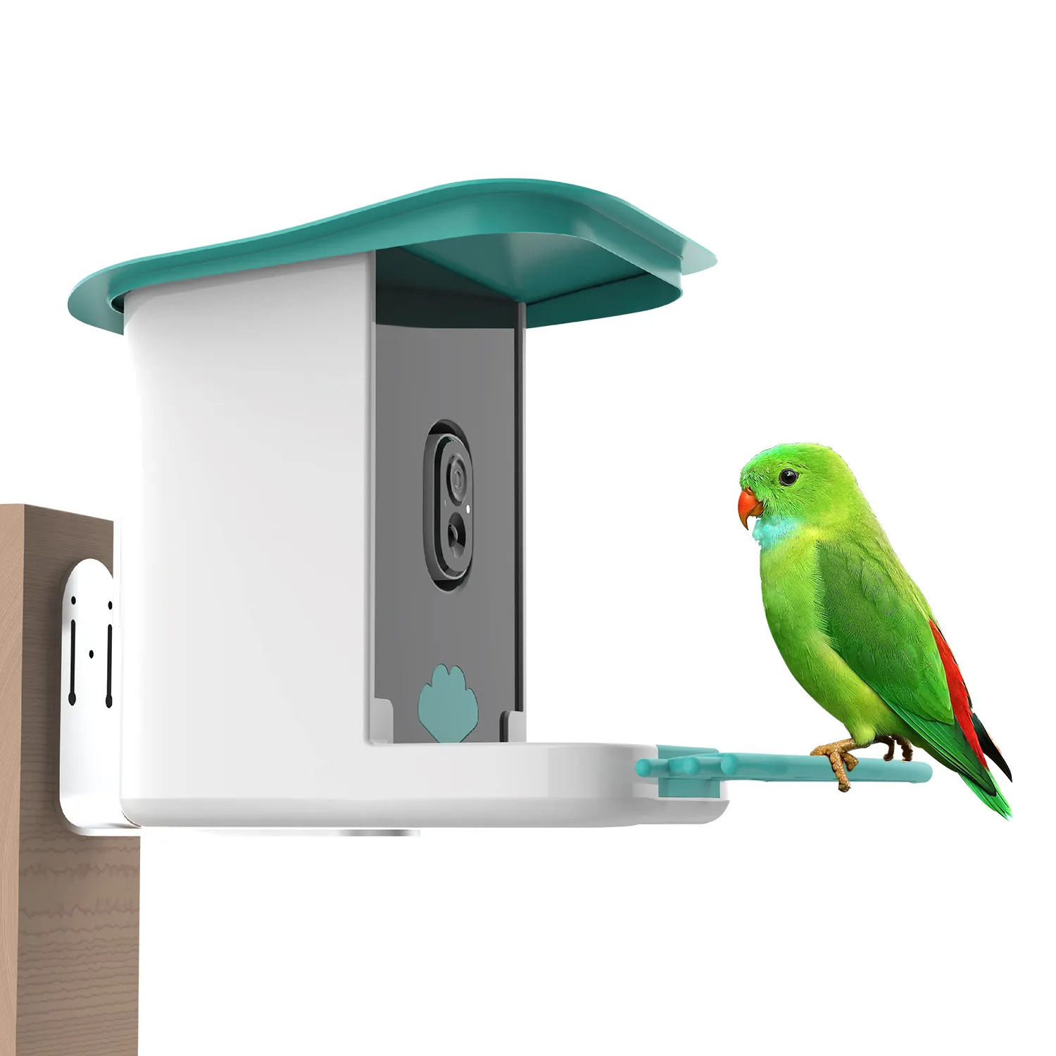 Wifi Camera Auto Capture Bird Feeder Outdoor Gratis Ai Identificatie Slimme Vogelvoeder Voor Ouder