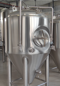 Tanque de Fermentación Cónico Tonsen de 5bbl, 10bbl, 20bbl con Puerta Lateral para Fermentación de Cerveza - Product Image 2