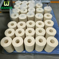 Filter Wanhe New High Filtration Precision PA5601347 3m Offline Filter Insert BG15/25 Pengganti Filter CJC untuk Turbin Angin Onshore