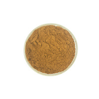 Extrait de plante Areca Catechu, qualité alimentaire naturelle, extrait par solvant, poudre végétale pour compléments alimentaires à base de plantes