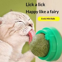 Balle multifonctionnelle rotative pour le nettoyage des dents molaires, à la menthe et à la catnip, jouet pour chat en forme d'avocat