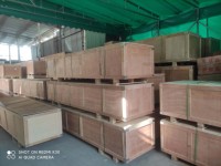 Printer Kulit Inkjet UV DTF Benlun I3200 Roll Roll dengan Garansi 1 Tahun, Material Film Flex AB Tanpa Bingkai, Lebar Cetak 600MM