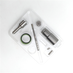 Kit de réparation d'injecteur pas cher 295050-0380 2950500380 Kits de réparation d'injecteur à rampe commune diesel - Product Image 4