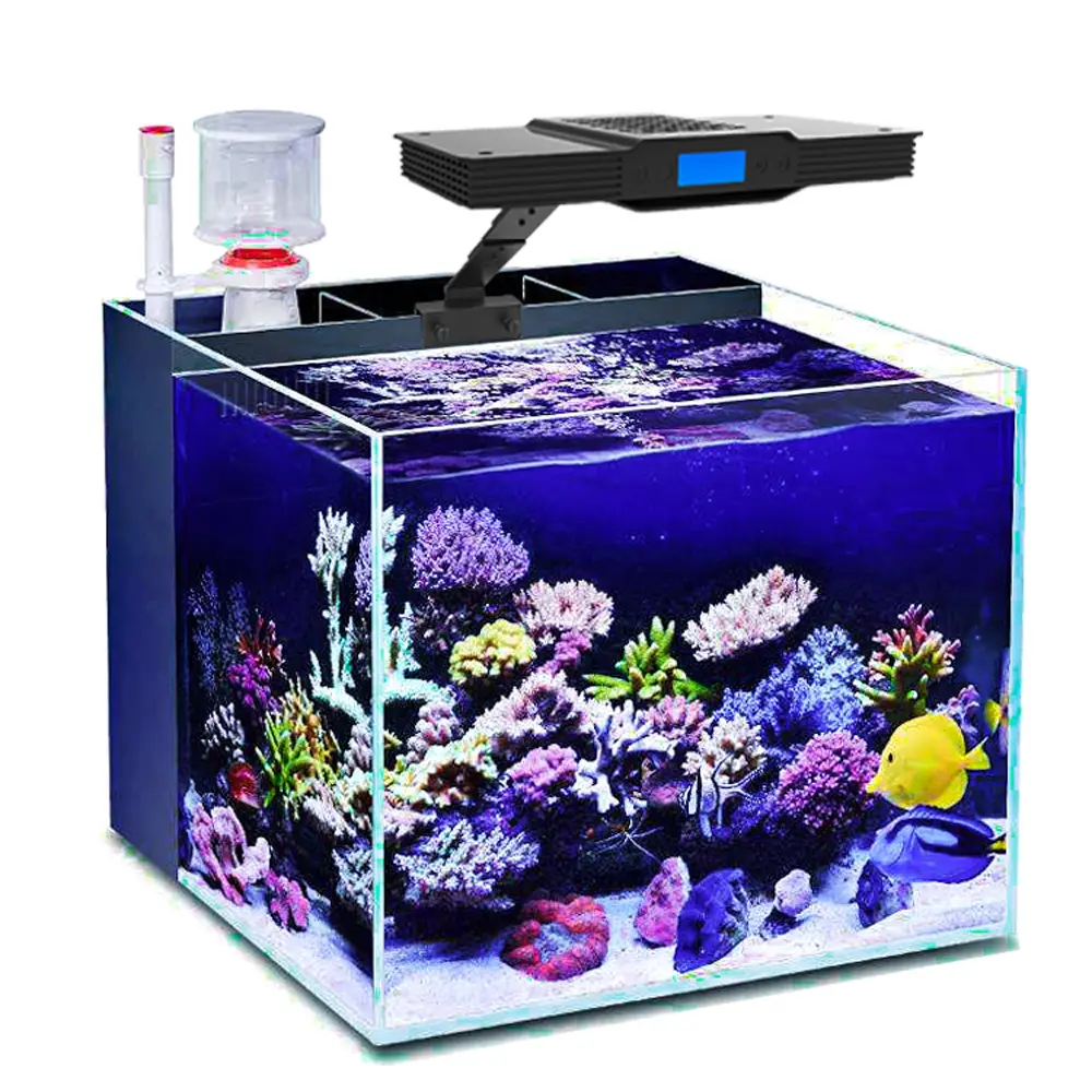 Sps Lps Rif Led Aquarium Licht Chip 60W Marine Oceaan Verlichting Koraalrif Led Licht Aquarium Rif Daglicht Blauw