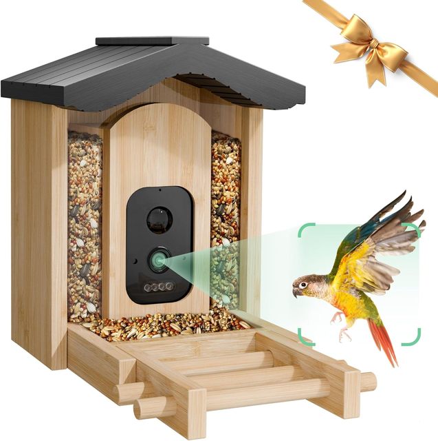 Smart AI Camera Bird Feeder Automatic Recognition Real Time Alerts for Backyard Birdwatching Wildlife Monitoring