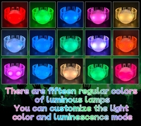 Bracelet LED à télécommande, 15 couleurs changeantes, concert, festival, sport, fournisseur en gros, fabricant, logo personnalisé, OEM