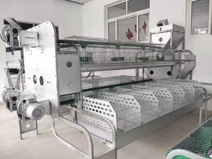 กรงเลี้ยงกระต่ายแบบสองชั้น36ชั้นสำหรับ<span class=keywords><strong>ฟาร์ม</strong></span><span class=keywords><strong>กระต่าย</strong></span><span class=keywords><strong>เนื้อ</strong></span> - Product Image 3