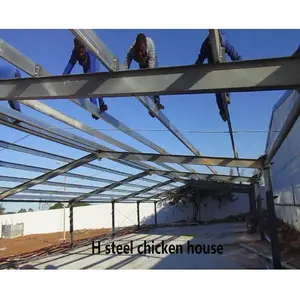 Prefabricated Commercial Steel Poultry House / Poultry Breeder House